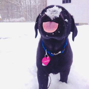 女友被群交成公厕性奴
